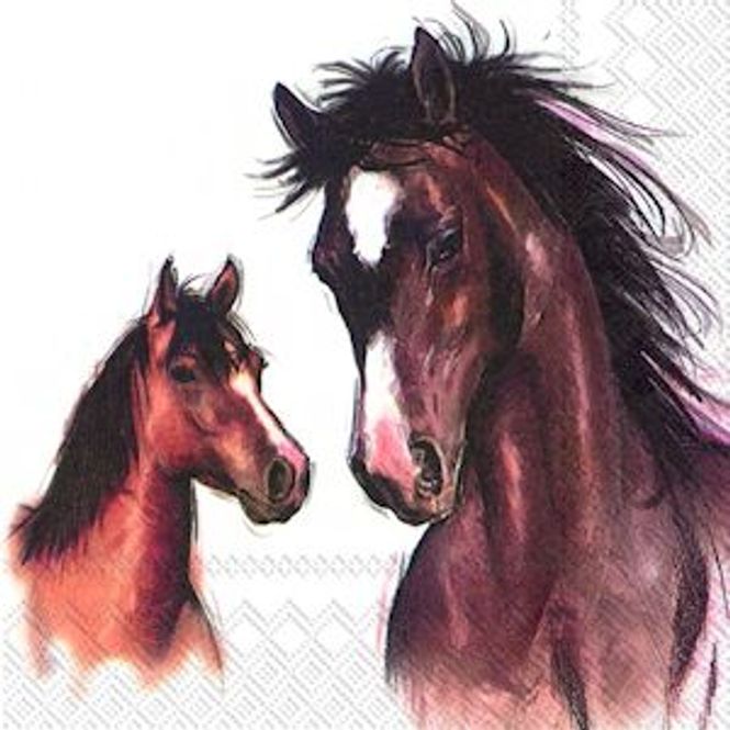 Hovedbilde Servietter Ihr Hest Amy And Lucy Lunsj 20pk