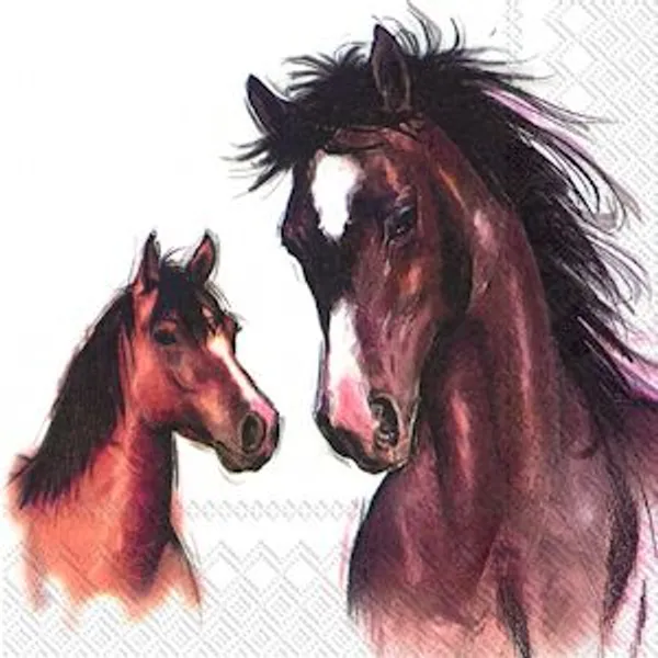 Hovedbilde Servietter Ihr Hest Amy And Lucy Lunsj 20pk